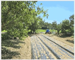  2025Ÿ��31044 �泲 ���ر� ��õ�� ���Ǹ� 710-2      ����(��)���