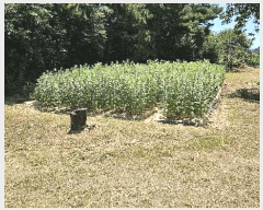  2025Ÿ��31044 �泲 ���ر� ��õ�� ���Ǹ� 710-2      ����(��)���