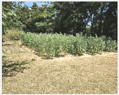  2025Ÿ��31044 �泲 ���ر� ��õ�� ���Ǹ� 710-2      ����(��)���