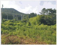  2025Ÿ��31054 �泲 ���ر� ���ָ� ��Ƹ� 107      ����(��1)���