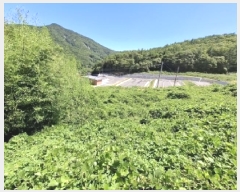  2025Ÿ��31054 �泲 ���ر� ���ָ� ��Ƹ� 107      ����(��1)���