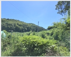  2025Ÿ��31054 �泲 ���ر� ���ָ� ��Ƹ� 107      ����(��1)���