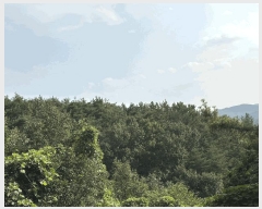  2025Ÿ��31060  �Ӿ߰��