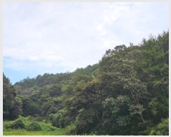  2025Ÿ��31060  �Ӿ߰��