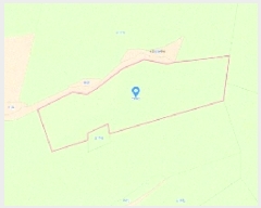  2025Ÿ��31060  �Ӿ߰��