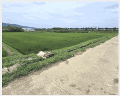  2025Ÿ��31116  ����