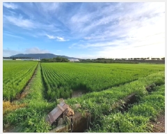  2025Ÿ��31116  ����