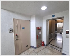  2025Ÿ��31131  ����Ʈ���