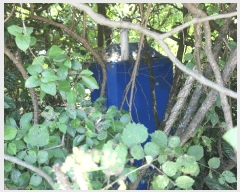  2025Ÿ��31137  �����