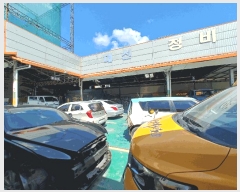  2025Ÿ��31143 �泲 ���ֽ� ���� 169-1       ������