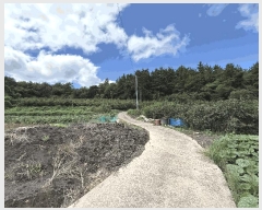  2025Ÿ��31163 �泲 ��õ�� �ൿ�� ž�� 258-1      ����(��1)���
