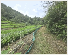  2025Ÿ��31205 �泲 ���ֽ� ����� �ΰ踮 296      ����(��1)���