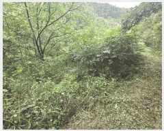  2025Ÿ��31205 �泲 ���ֽ� ����� �ΰ踮 296      ����(��1)���