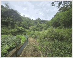  2025Ÿ��31205 �泲 ���ֽ� ����� �ΰ踮 296      ����(��1)���