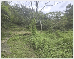  2025Ÿ��31205 �泲 ���ֽ� ����� �ΰ踮 296      ����(��1)���