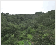  2025Ÿ��31205 �泲 ���ֽ� ����� �ΰ踮 296      ����(��1)���