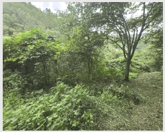  2025Ÿ��31205 �泲 ���ֽ� ����� �ΰ踮 296      ����(��1)���