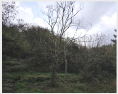  2025Ÿ��31205 �泲 ���ֽ� ����� �ΰ踮 296      ����(��1)���