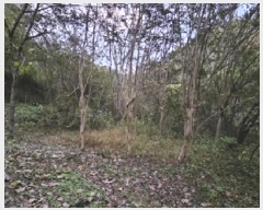  2025Ÿ��31205 �泲 ���ֽ� ����� �ΰ踮 296      ����(��1)���