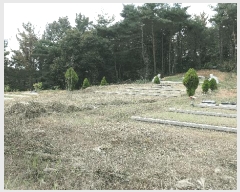  2025Ÿ��31211 �泲 �ϵ��� ������ ��� 9      ����(��1)���