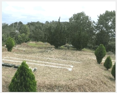  2025Ÿ��31211 �泲 �ϵ��� ������ ��� 9      ����(��1)���