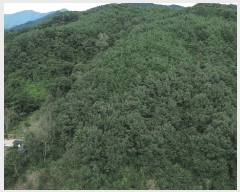  2025Ÿ��31211 �泲 �ϵ��� ������ ��� 9      ����(��1)���