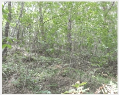  2025Ÿ��31211 �泲 �ϵ��� ������ ��� 9      ����(��1)���