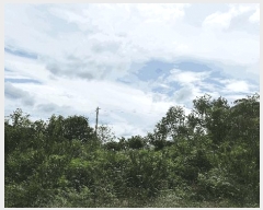  2025Ÿ��31211 �泲 �ϵ��� ������ ��� 9      ����(��1)���