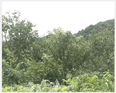  2025Ÿ��31211 �泲 �ϵ��� ������ ��� 9      ����(��1)���