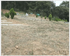  2025Ÿ��31211 �泲 �ϵ��� ������ ��� 9      ����(��1)���