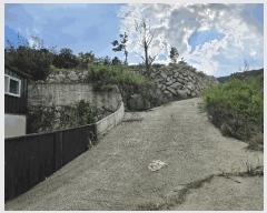  2025Ÿ��31216 �泲 ��û�� �ܼ��� ��� 50-1      ���ð��