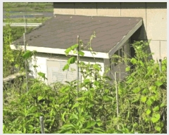  2025Ÿ��31216 �泲 ��û�� �ܼ��� ��� 50-1      ���ð��