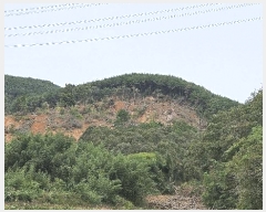  2025Ÿ��31235 �泲 ��û�� ���񷮸� ȭ���� ��224      ����(�Ӿ�)���