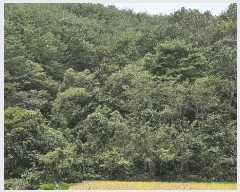  2025Ÿ��31235 �泲 ��û�� ���񷮸� ȭ���� ��224      ����(�Ӿ�)���