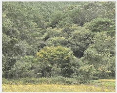  2025Ÿ��31235 �泲 ��û�� ���񷮸� ȭ���� ��224      ����(�Ӿ�)���