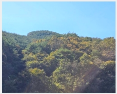  2025Ÿ��31235 �泲 ��û�� ���񷮸� ȭ���� ��224      ����(�Ӿ�)���