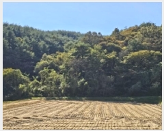  2025Ÿ��31235 �泲 ��û�� ���񷮸� ȭ���� ��224      ����(�Ӿ�)���