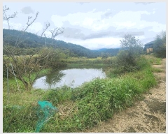  2025Ÿ��31242 �泲 ��û�� �žȸ� �ܰ��� 1259      ����(��)���