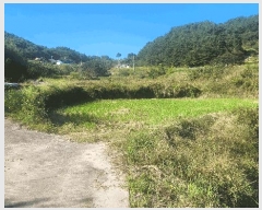  2025Ÿ��31242 �泲 ��û�� �žȸ� �ܰ��� 1259      ����(��)���