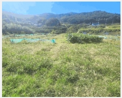  2025Ÿ��31242 �泲 ��û�� �žȸ� �ܰ��� 1259      ����(��)���