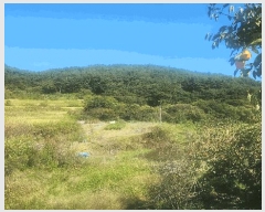  2025Ÿ��31242 �泲 ��û�� �žȸ� �ܰ��� 1259      ����(��)���