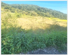  2025Ÿ��31242 �泲 ��û�� �žȸ� �ܰ��� 1259      ����(��)���