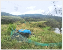  2025Ÿ��31242 �泲 ��û�� �žȸ� �ܰ��� 1259      ����(��)���