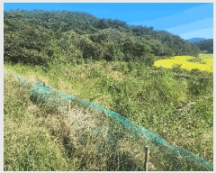  2025Ÿ��31242 �泲 ��û�� �žȸ� �ܰ��� 1259      ����(��)���