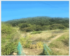  2025Ÿ��31242 �泲 ��û�� �žȸ� �ܰ��� 1259      ����(��)���