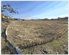  2025Ÿ��31346 �泲 �ϵ��� �ݼ��� ������ 584      ���ð��