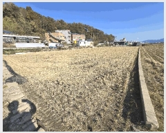  2025Ÿ��31346 �泲 �ϵ��� �ݼ��� ������ 584      ���ð��