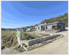  2025Ÿ��31346 �泲 �ϵ��� �ݼ��� ������ 584      ���ð��