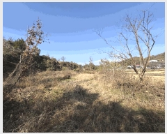  2025Ÿ��31352 �泲 ���ֽ� ���� ��� 296      ����(��1)���