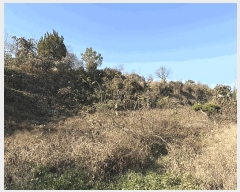  2025Ÿ��31352 �泲 ���ֽ� ���� ��� 296      ����(��1)���